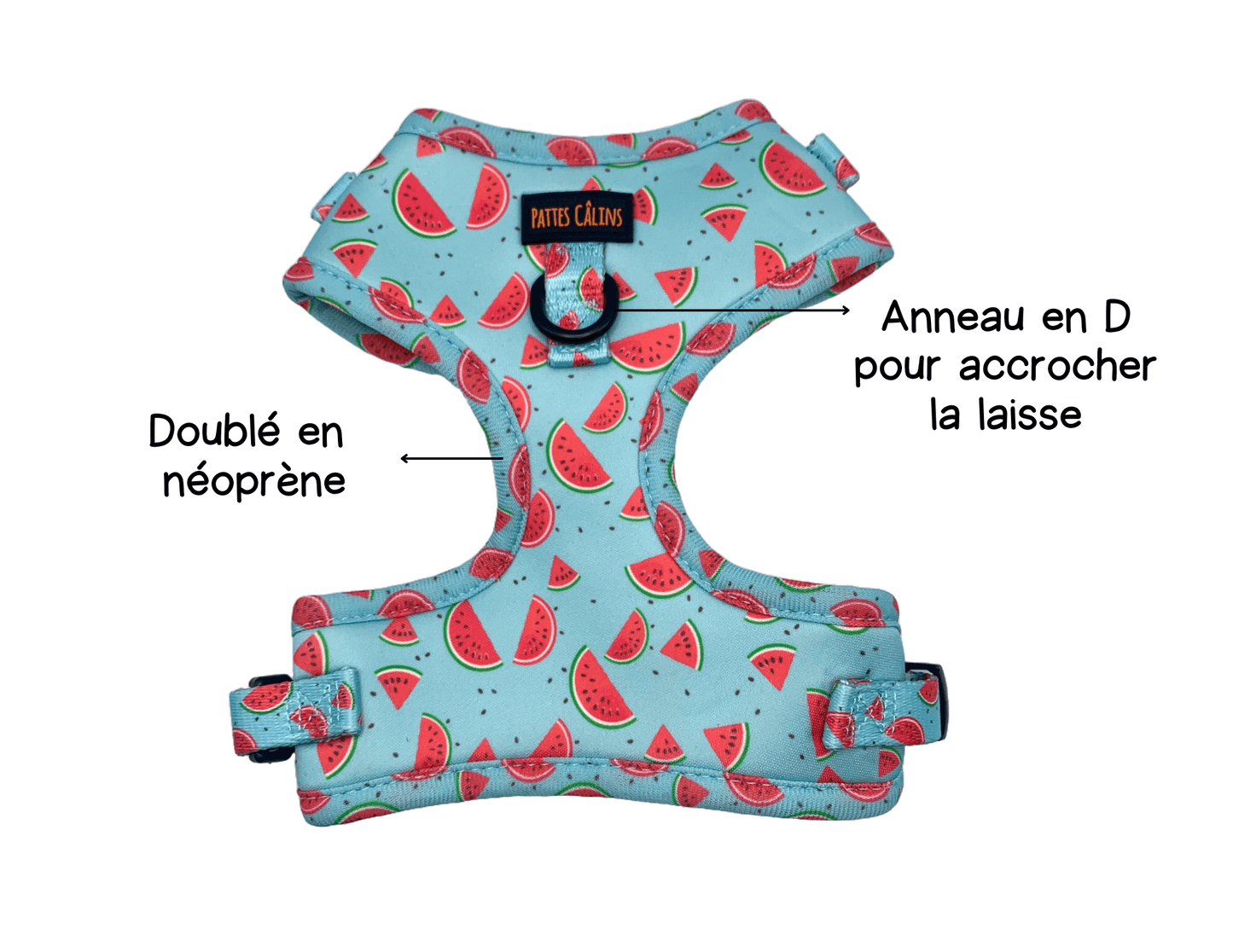 Ensemble “Melon” – Harnais, laisse et collier en tissu pour petit chien ou chat | 79,99$ 
