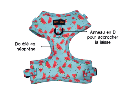 Ensemble “Melon” – Harnais, laisse et collier en tissu pour petit chien ou chat | 79,99$ 