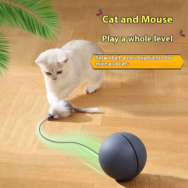 Balle Intelligente Automatique pour Chats et Chiens