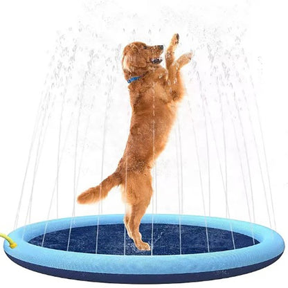 Piscine pour Chiens