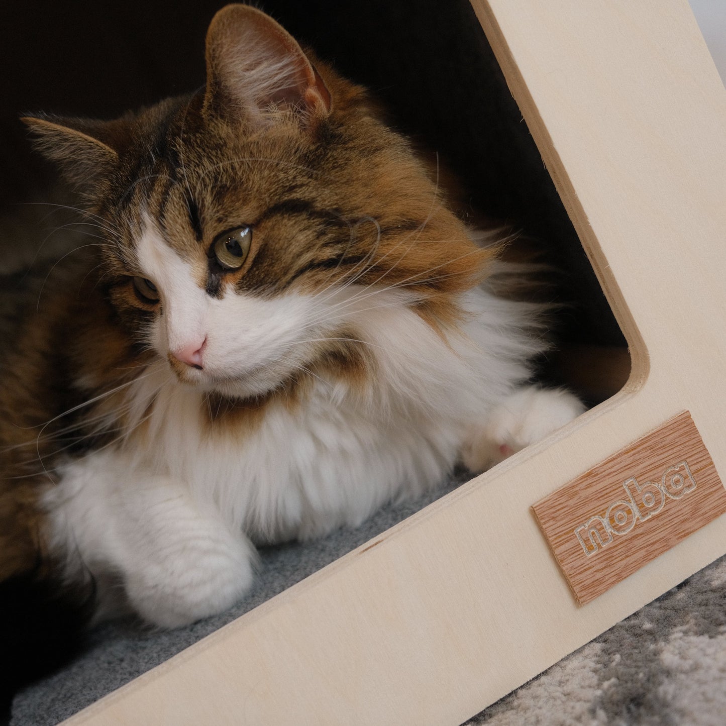 The Urban Hut – Maison Design pour Chat ou Petit Chien