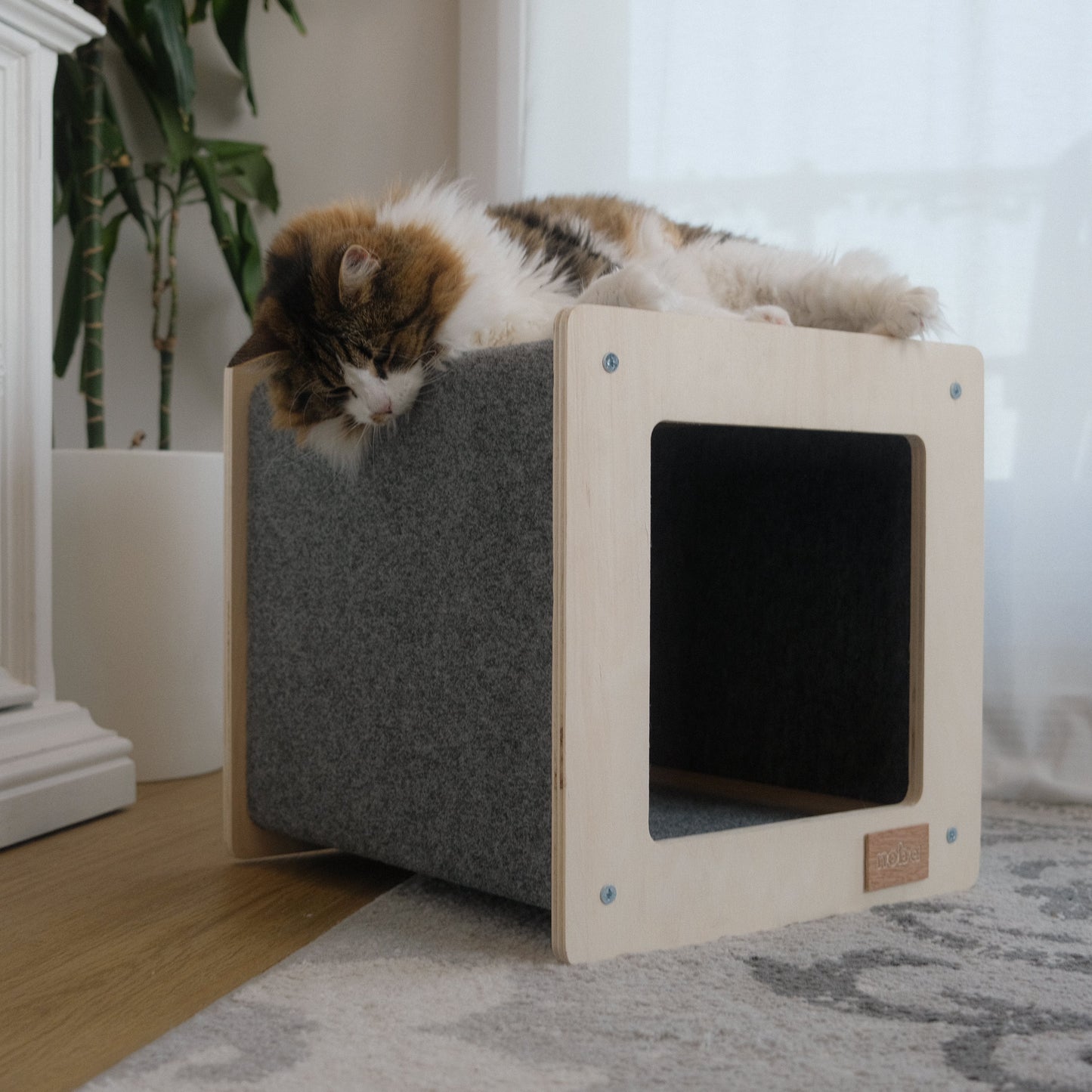 The Urban Hut – Maison Design pour Chat ou Petit Chien