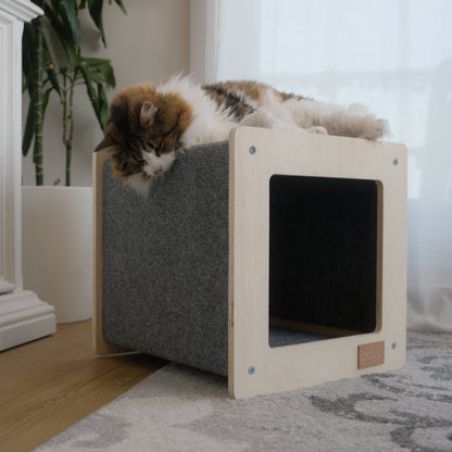 The Urban Hut – Maison Design pour Chat ou Petit Chien