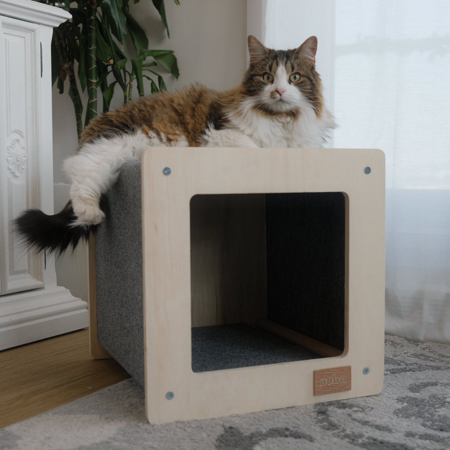 The Urban Hut – Maison Design pour Chat ou Petit Chien