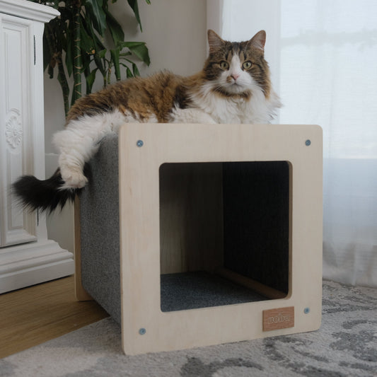 The Urban Hut – Maison Design pour Chat ou Petit Chien