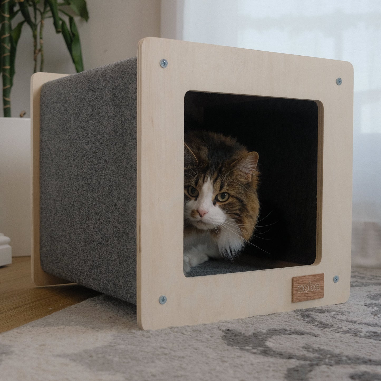 The Urban Hut – Maison Design pour Chat ou Petit Chien