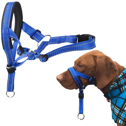 Harnais Halter pour chiens