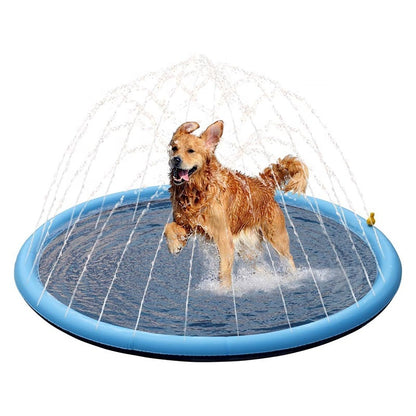 Piscine pour Chiens