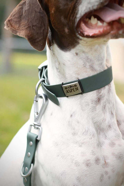 Collier pour chien imperméable – Série limitée| Quantité et couleurs limitées