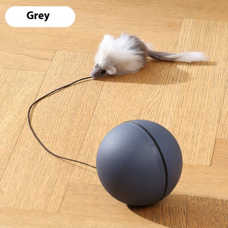 Balle Intelligente Automatique pour Chats et Chiens