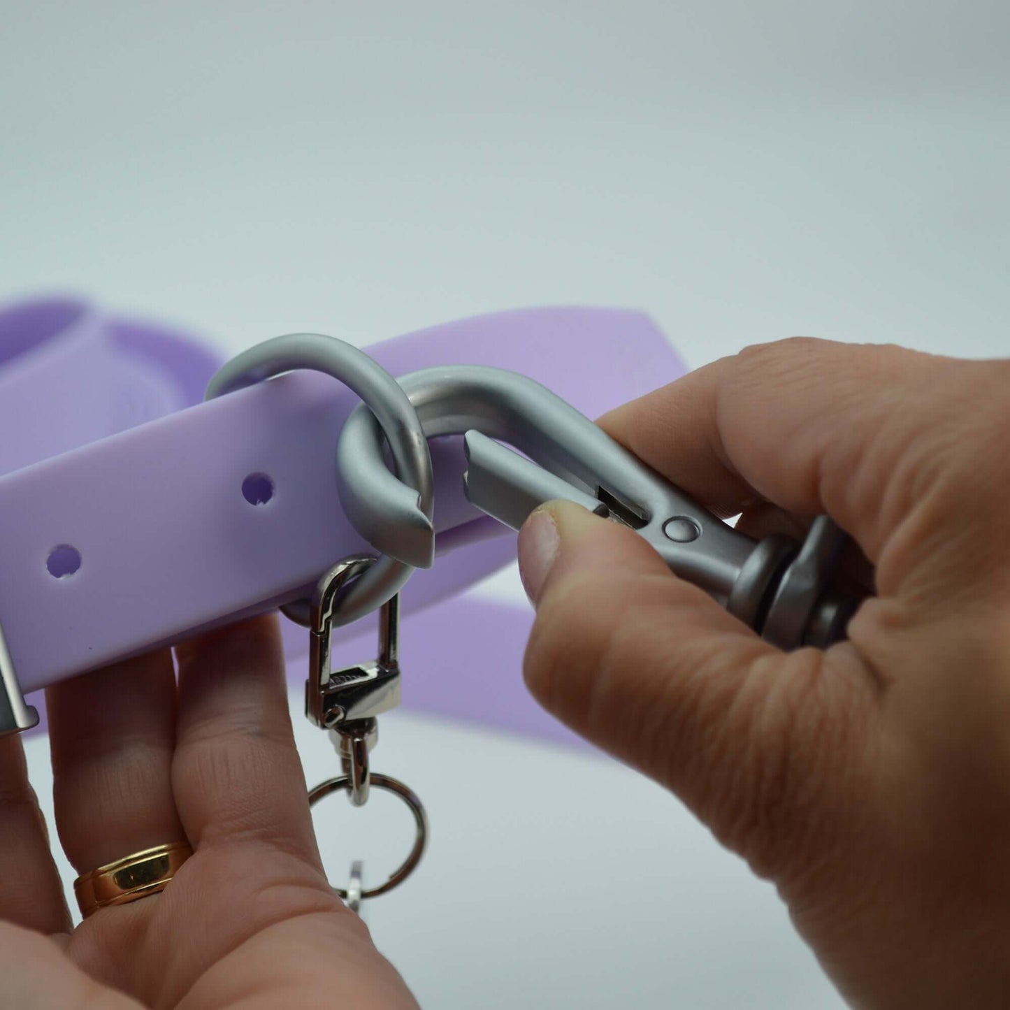 Laisse imperméable pour chien – Premium en PVC  6 pieds