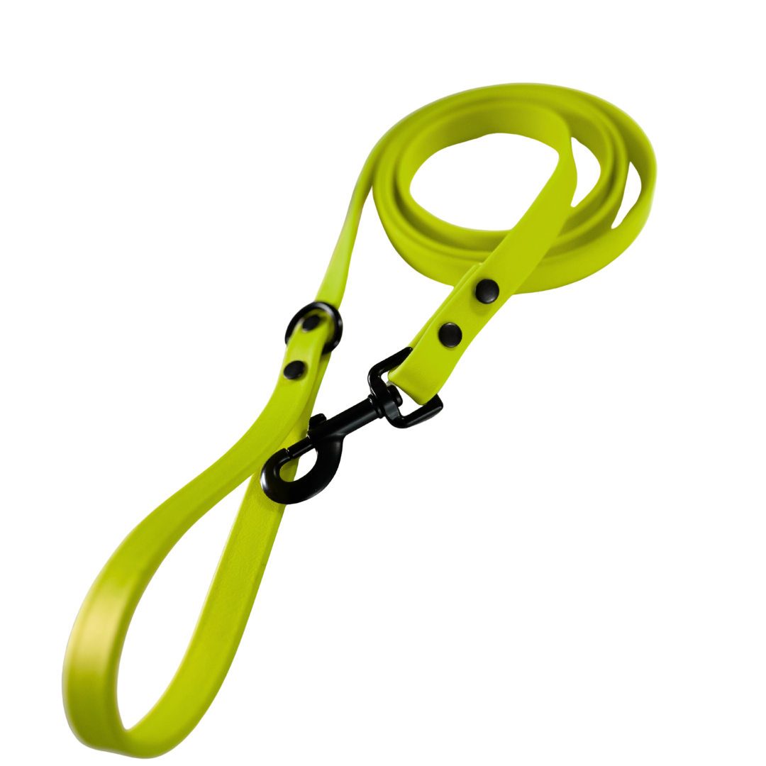 Collier en Biothane pour chien – Boucle en aluminium à attache rapide