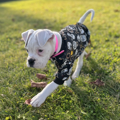 Collier en Biothane pour chat - fait main au Québec