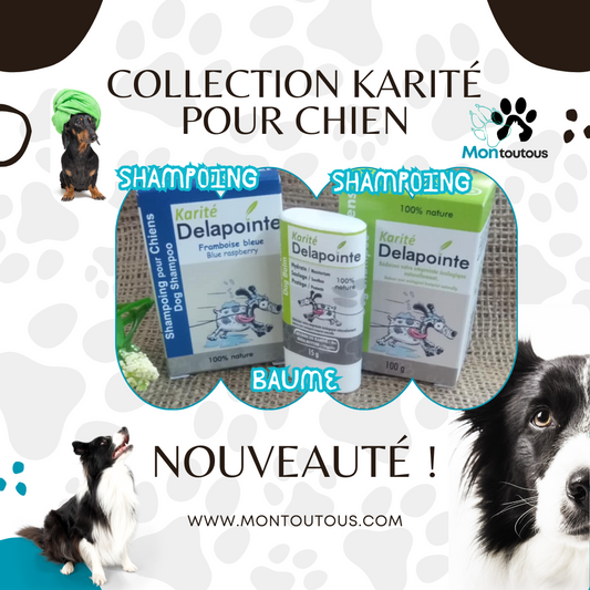 Ensemble Shampoing & Baume Karité – Soin Hydratant et Protecteur pour Chiens