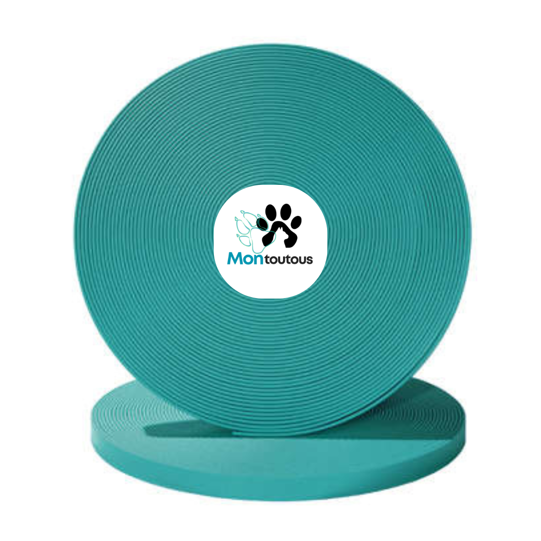 Harnais sur mesure en BioThane pour chien – Fait main au Québec