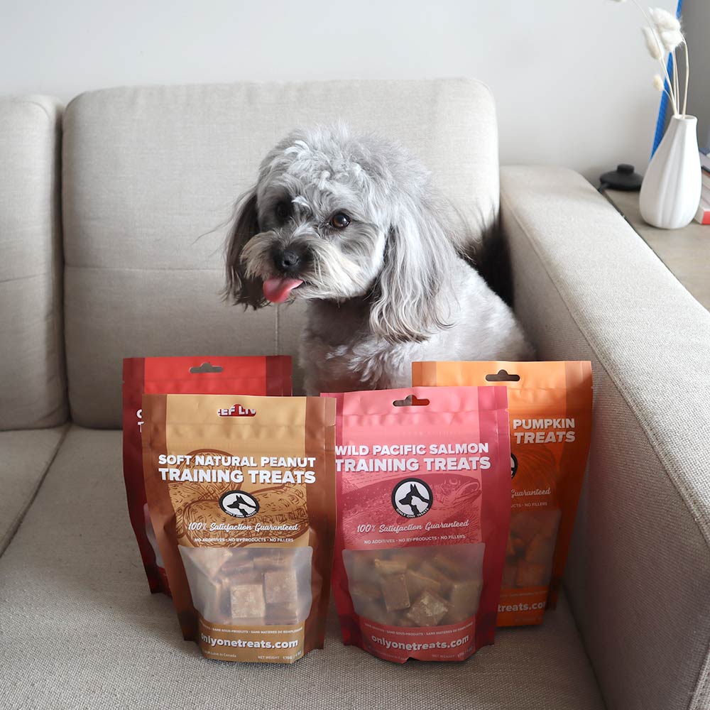 BOX mixte mastication et de friandises d'entraînement Gros chien