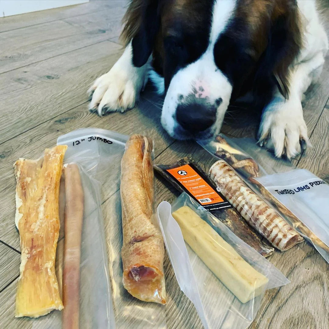 BOX mixte mastication et de friandises d'entraînement Gros chien